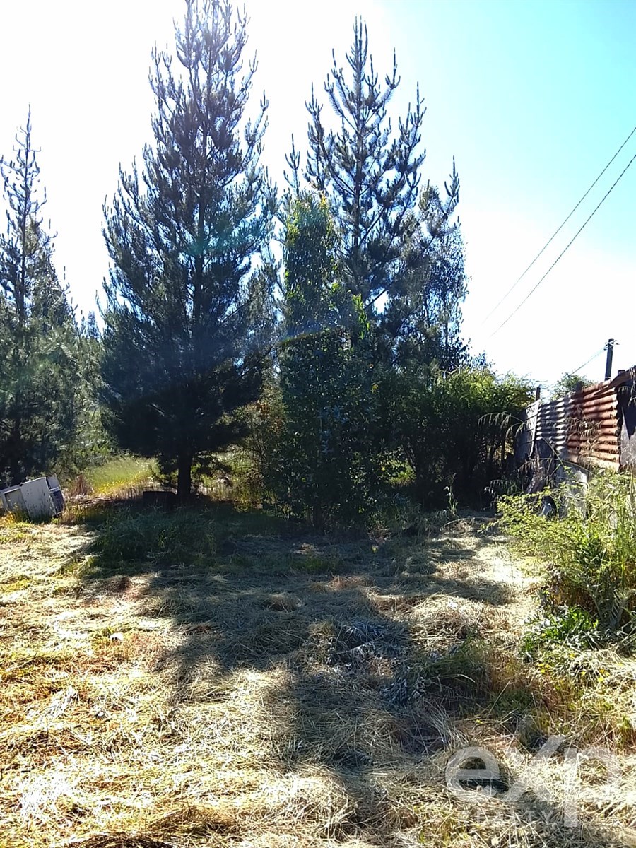 Sitio en Litueche