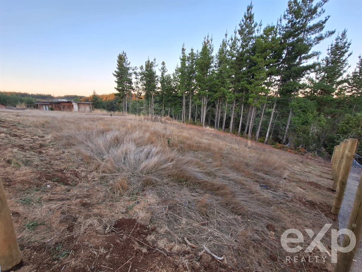 Sitio en venta en Pichilemu, Lote 136 Alto Colorado