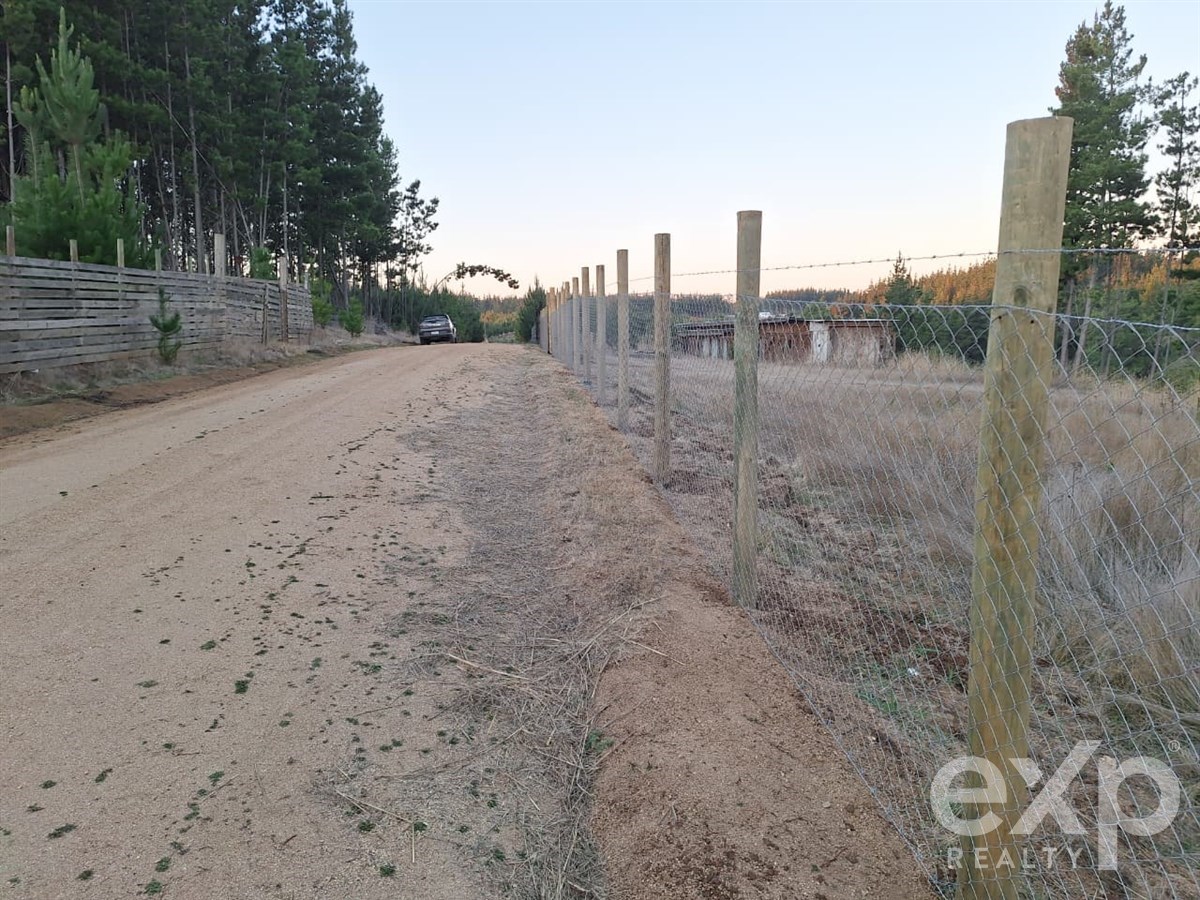 Sitio en venta en Pichilemu, Lote 136 Alto Colorado