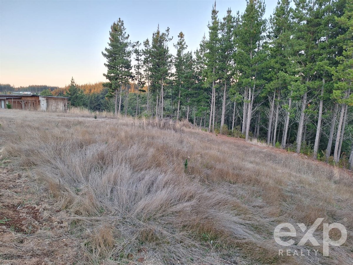 Sitio en venta en Pichilemu, Lote 136 Alto Colorado