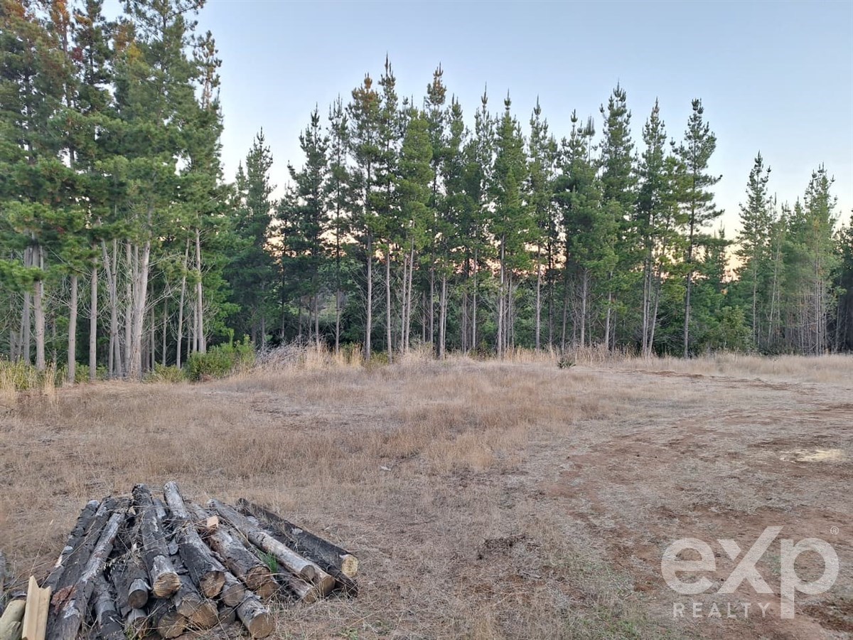 Sitio en venta en Pichilemu, Lote 136 Alto Colorado