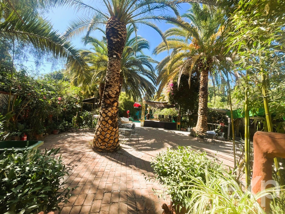Local Comercial en venta en Buín, PANAM SUR ORIEN KM 3568 3568