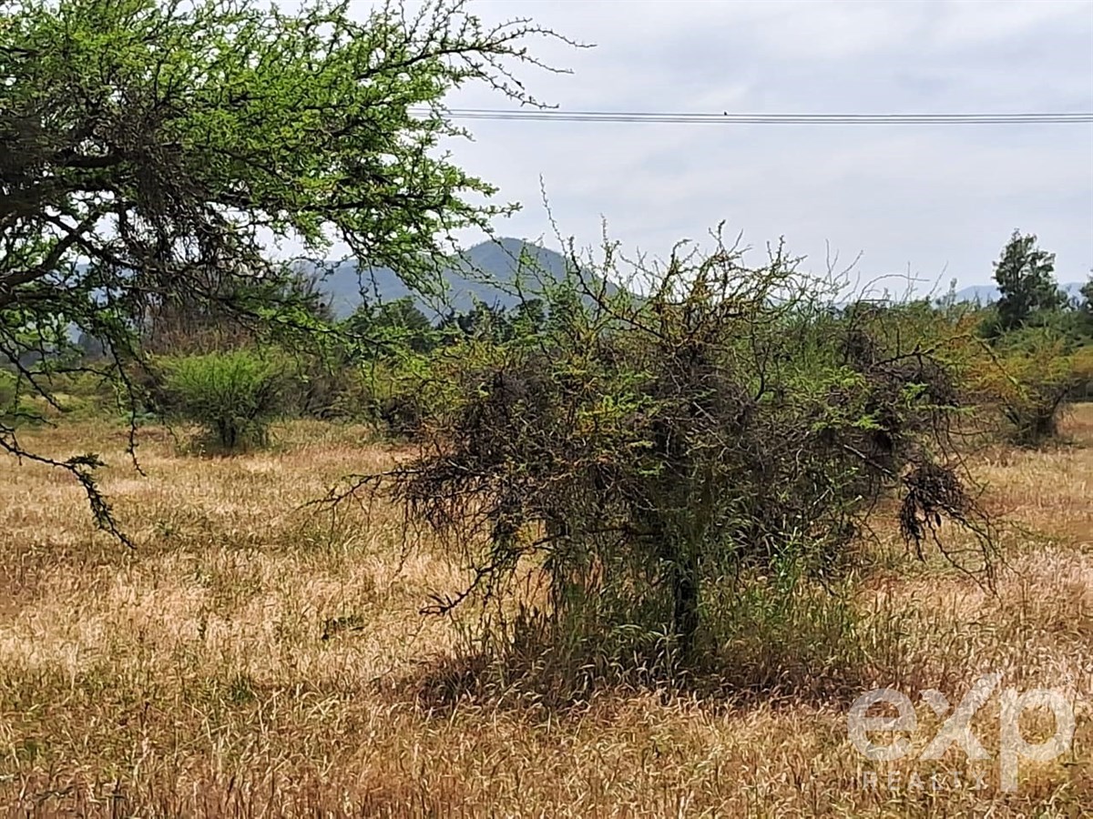 Agrícola en venta en Casablanca, Parcela , Sector Mundo Nuevo