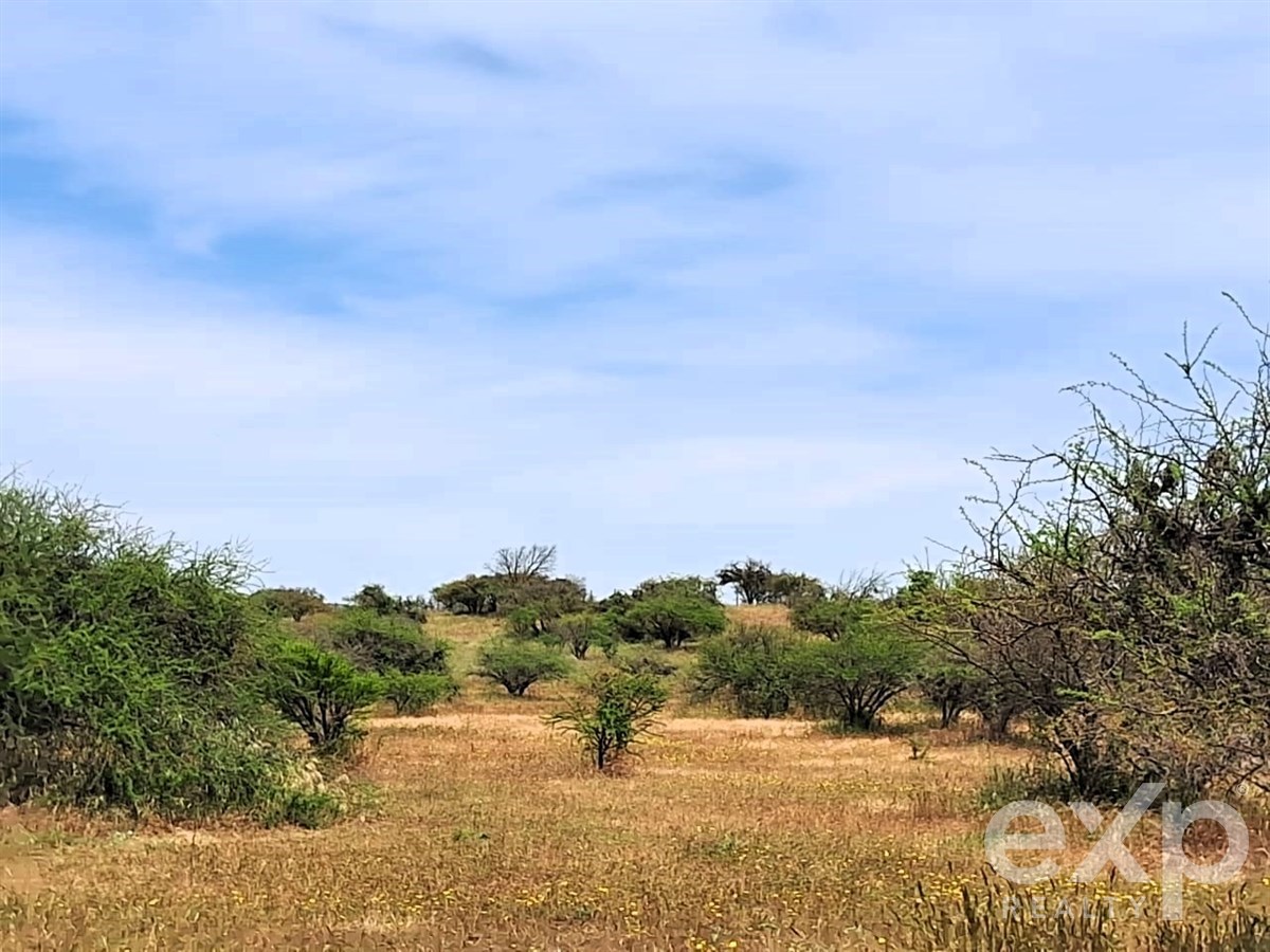Agrícola en venta en Casablanca, Parcela , Sector Mundo Nuevo