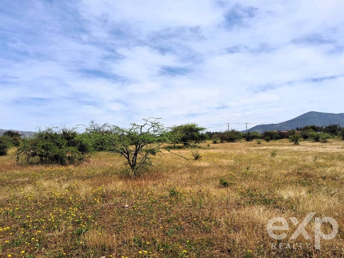 Agrícola en venta en Casablanca, Parcela , Sector Mundo Nuevo
