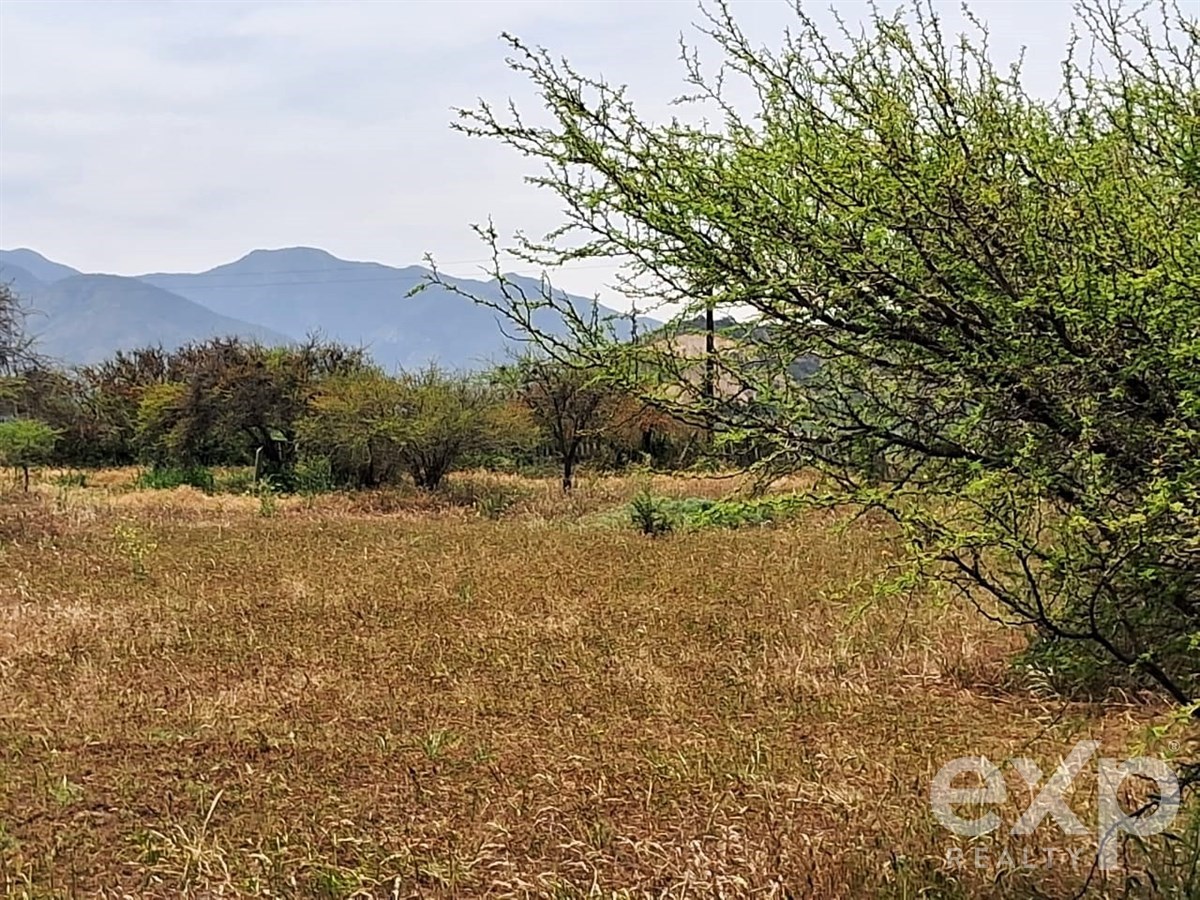 Agrícola en venta en Casablanca, Parcela , Sector Mundo Nuevo
