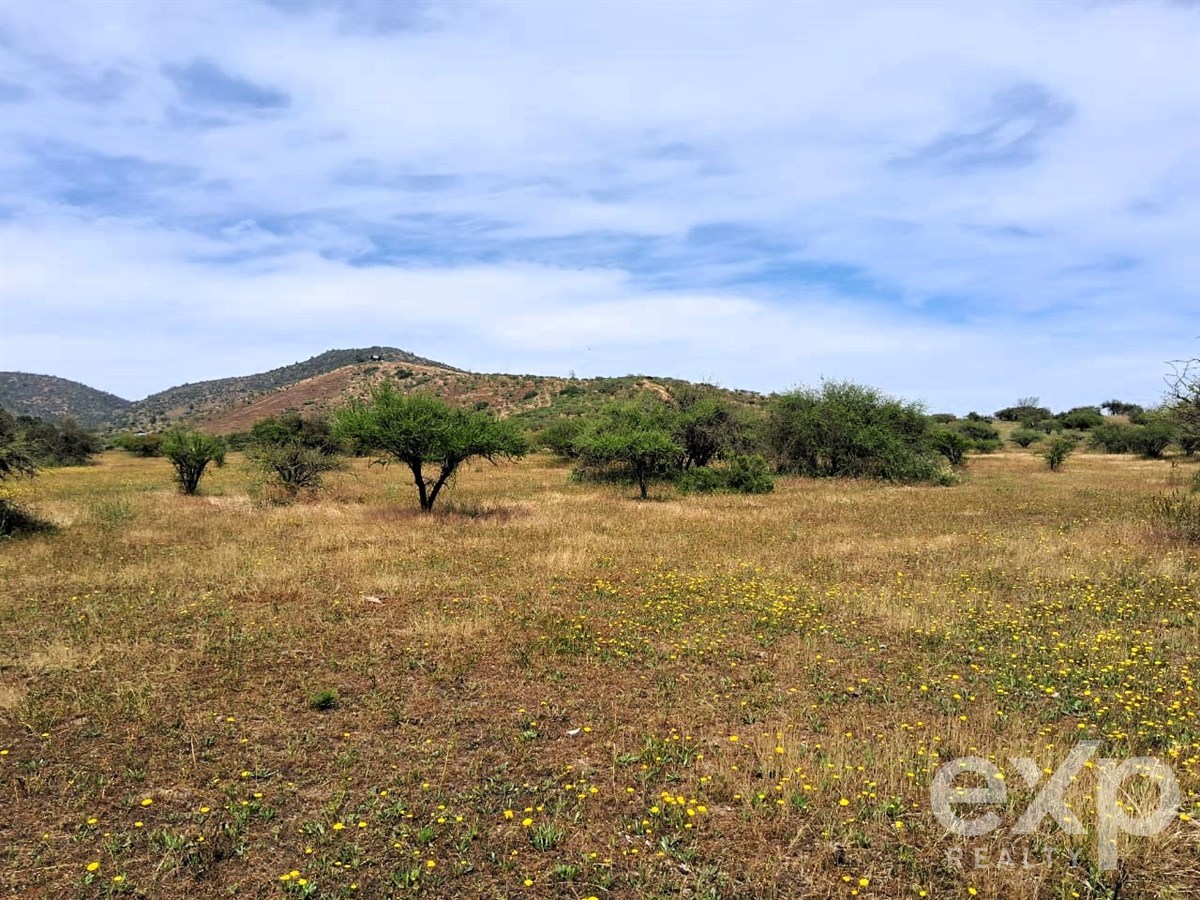 Agrícola en venta en Casablanca, Parcela , Sector Mundo Nuevo