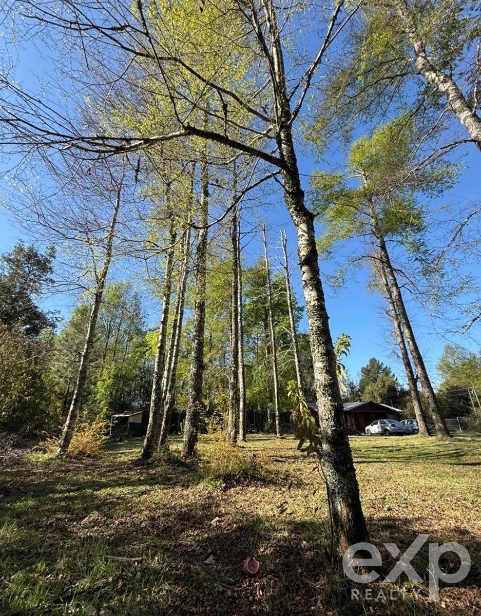 Casa en venta en Villarrica, Camino Villarrica-Pucón Villa Las Vertientes Molco Bajo