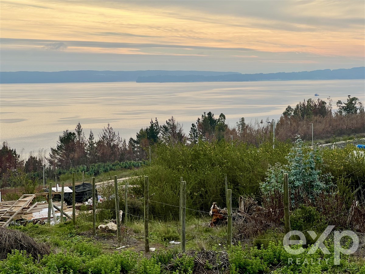 Sitio en venta en Tomé, Nueva 315