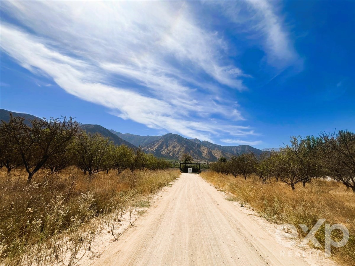 Parcela en venta en Paine, Aparición Parcela 14A Lote 9A 14