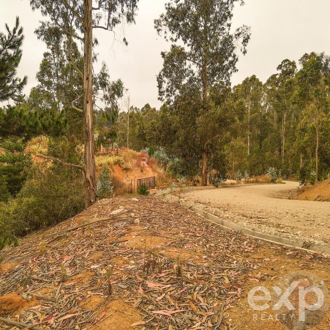 Parcela en venta en Casablanca, camino a Quintay km 6 4