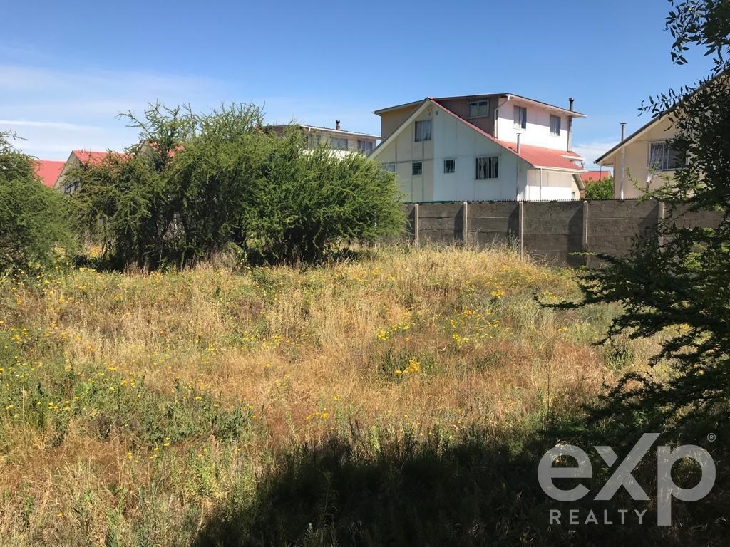 Agrícola en venta en Quilpué, CAMINO VECINAL 1312