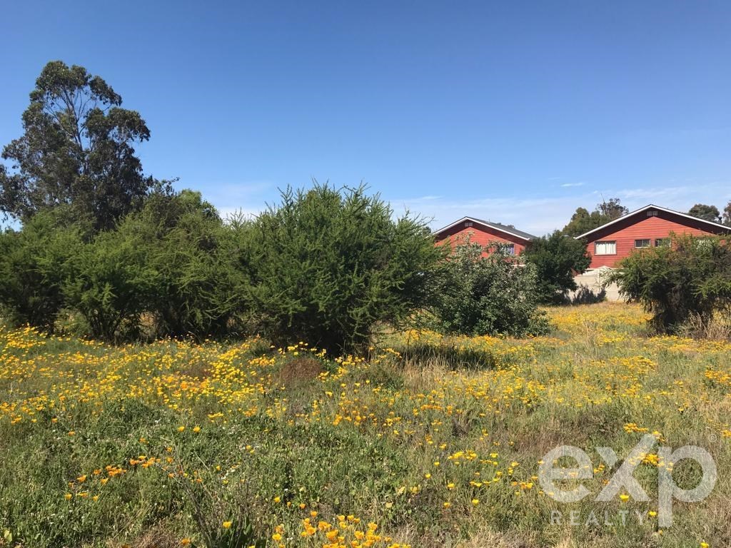 Agrícola en venta en Quilpué, CAMINO VECINAL 1312