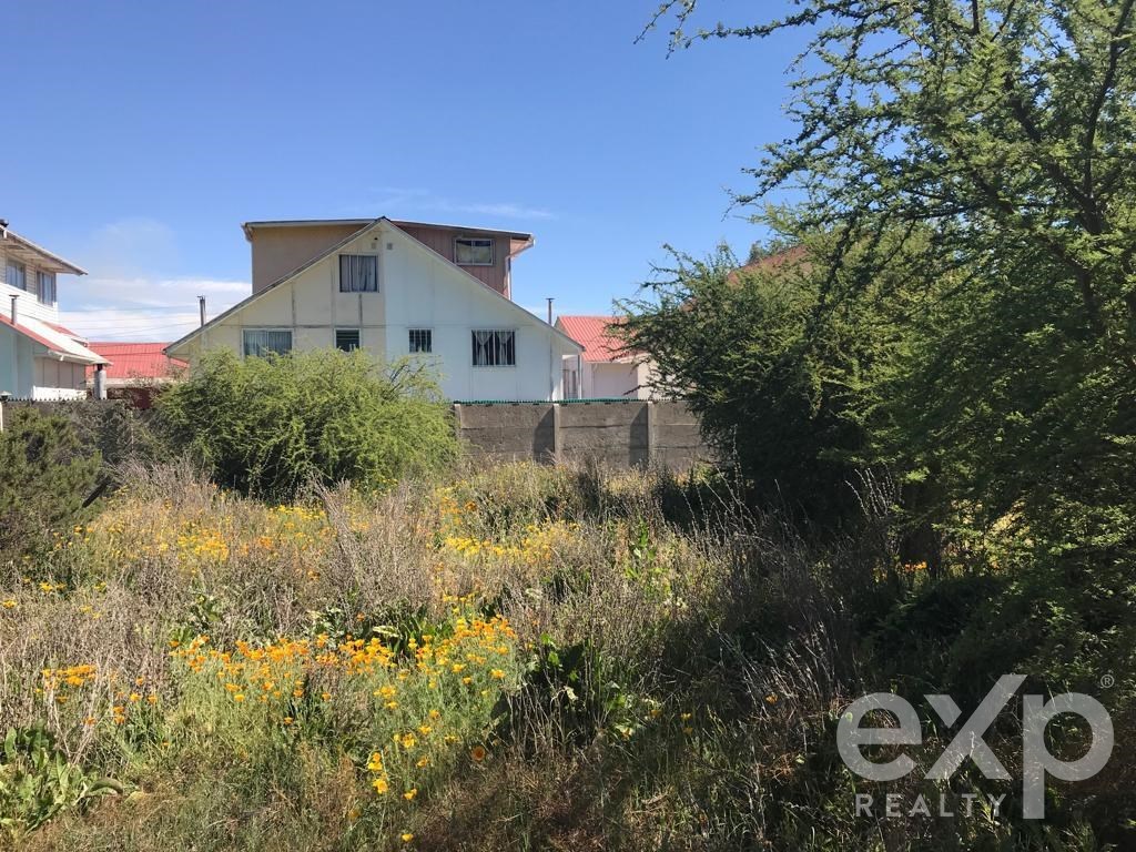 Agrícola en venta en Quilpué, CAMINO VECINAL 1312