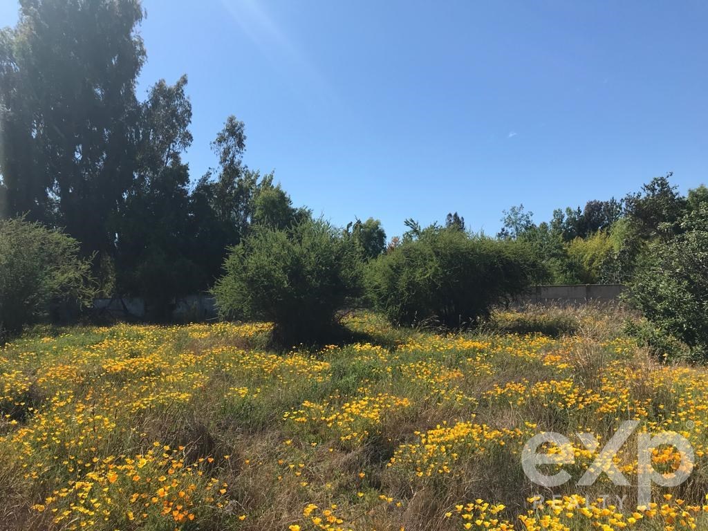 Agrícola en venta en Quilpué, CAMINO VECINAL 1312