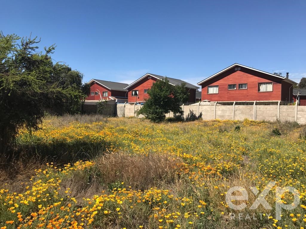 Agrícola en venta en Quilpué, CAMINO VECINAL 1312