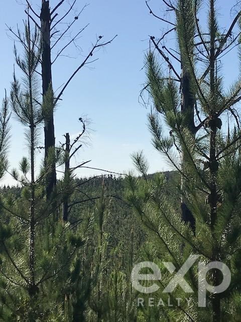 Parcela en venta en Constitución, Carrizal de Putú, lugar Cañete