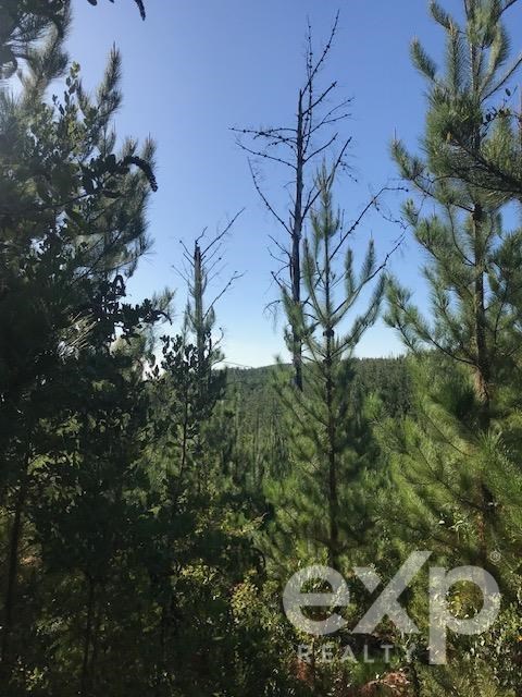 Parcela en venta en Constitución, Carrizal de Putú, lugar Cañete