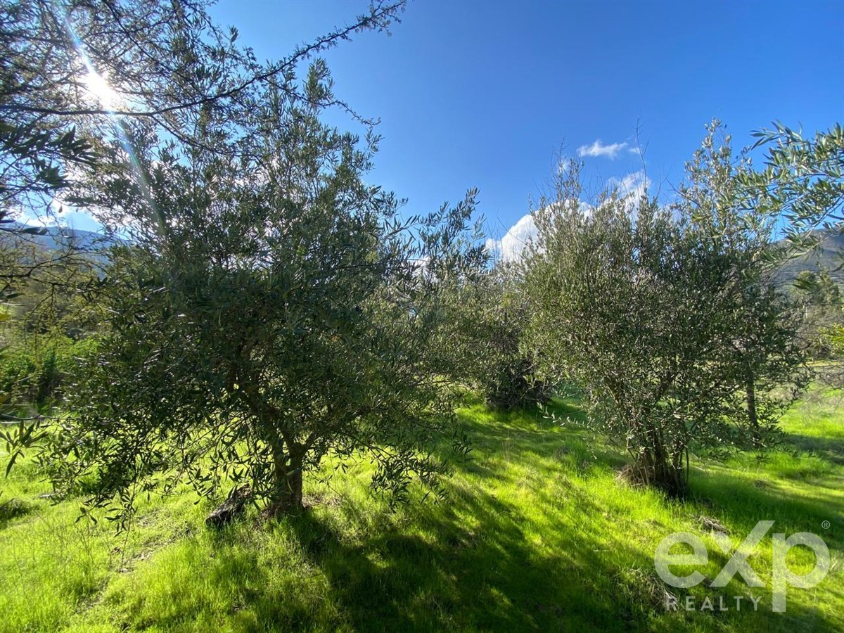 Parcela en venta en Curacaví, CUYUNCAVI ABAJO, 80 m²