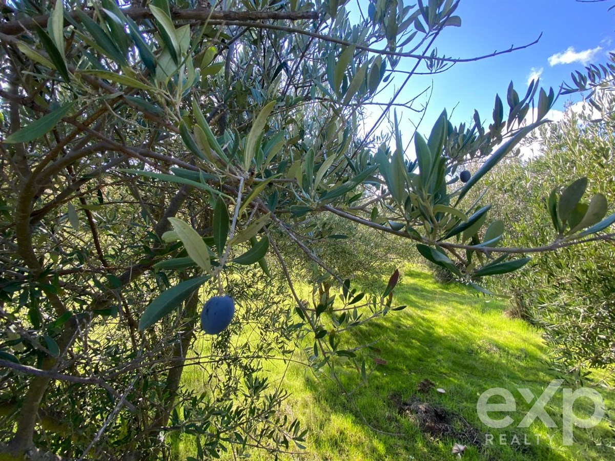 Parcela en venta en Curacaví, CUYUNCAVI ABAJO, 80 m²