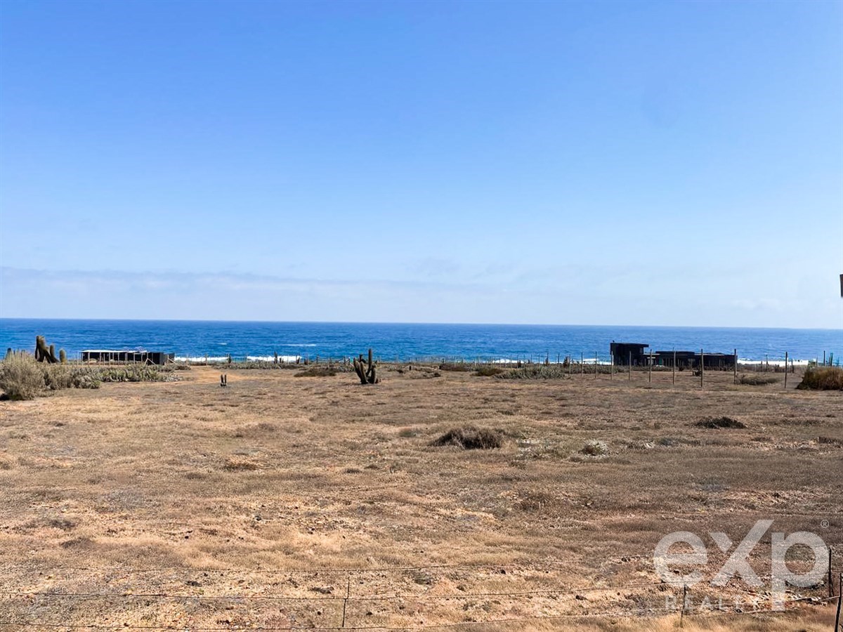 Sitio en venta en Canela, Ex comunidad agrícola Huentelauquen sector C, lote C18 18