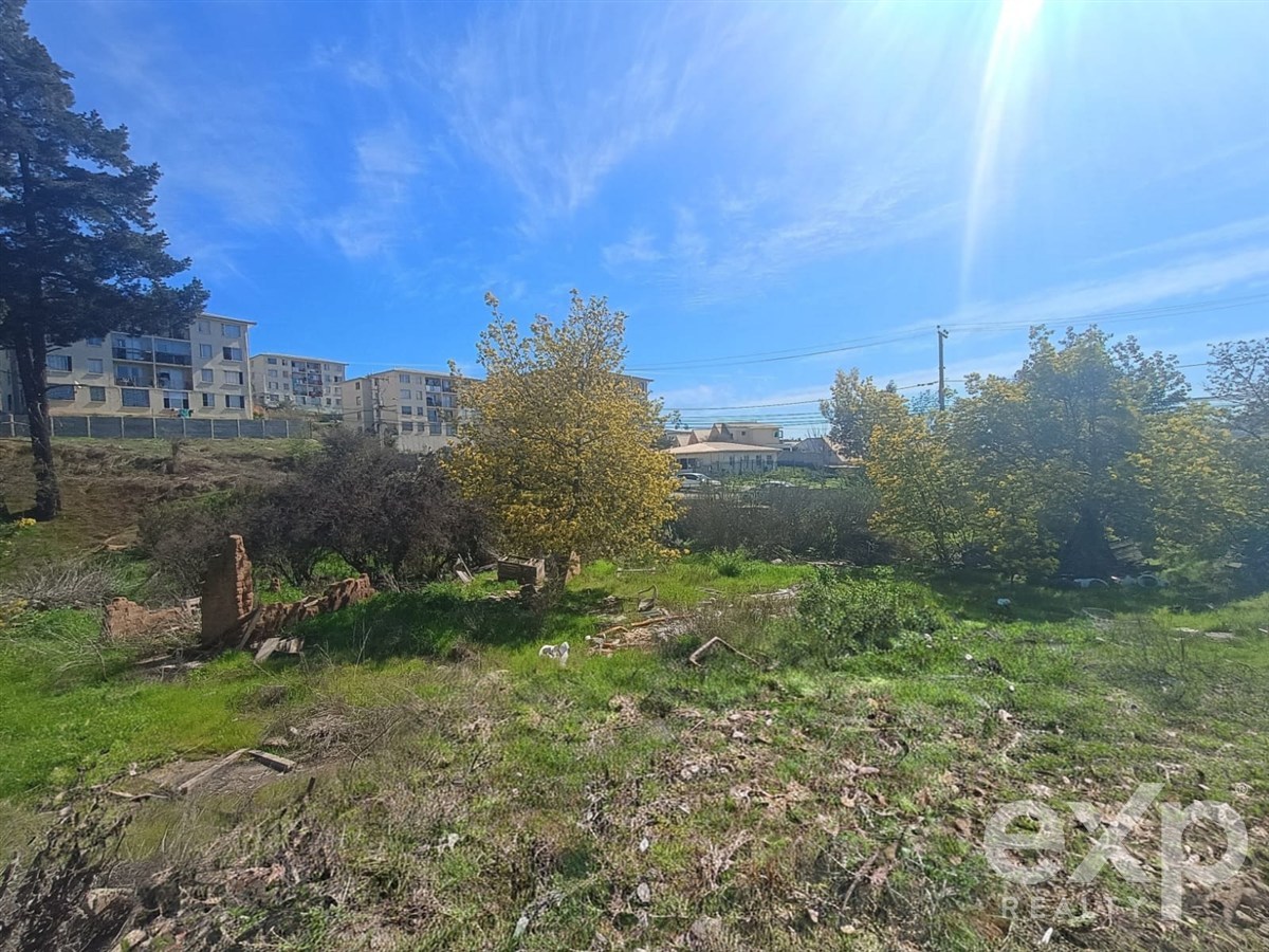 Sitio en venta en Villa Alemana, Nueva Hipodromo 1200