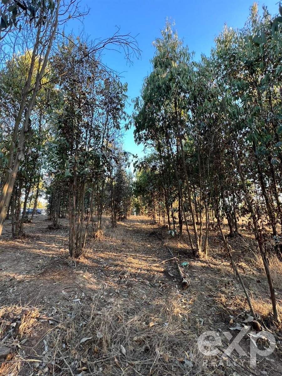 Parcela for sale in Quintero, Condominio Boldos de Santa Adela