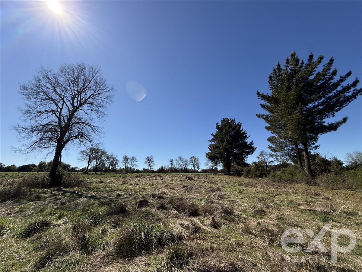 Agrícola en venta en Pinto