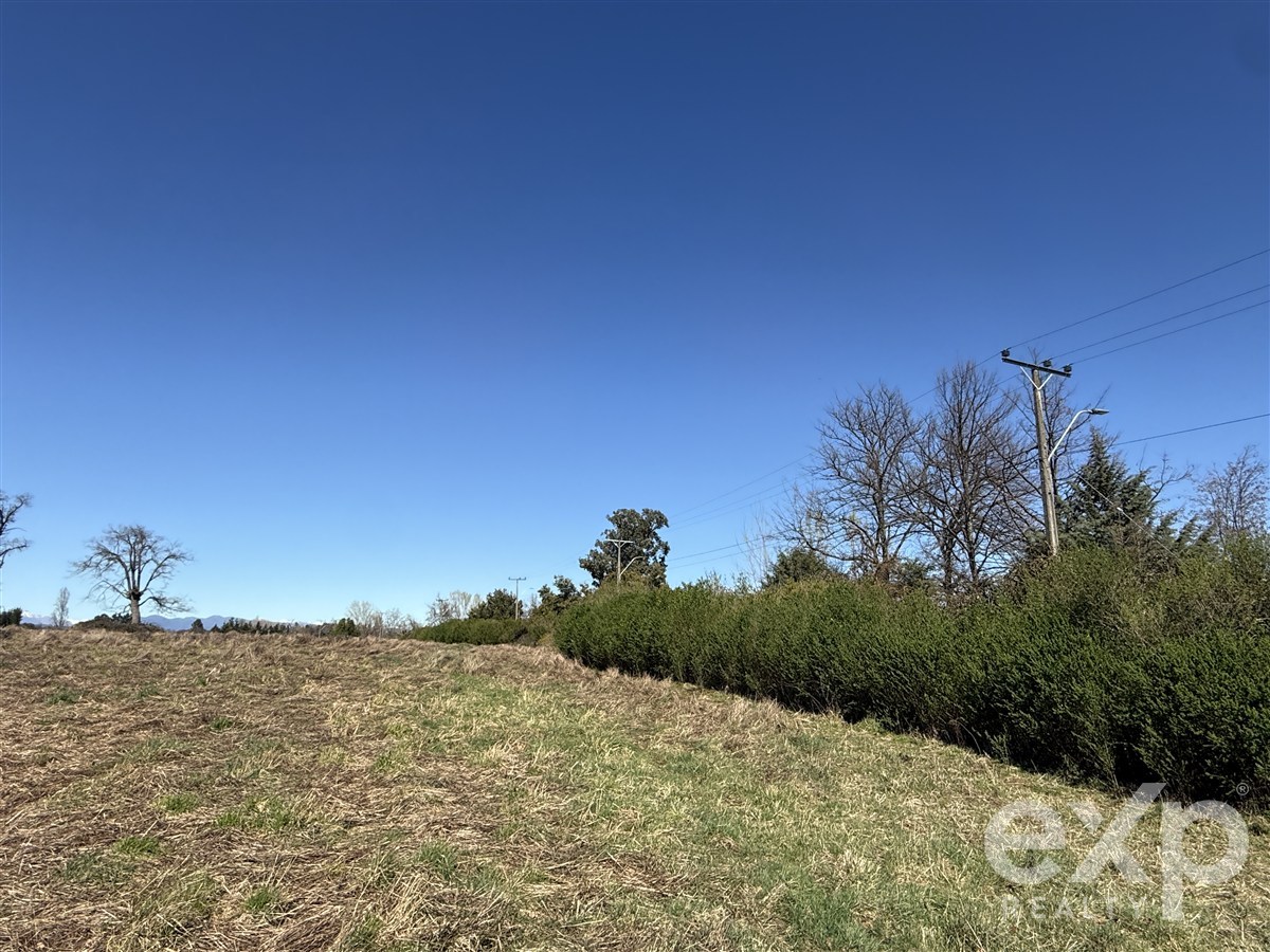 Agrícola en venta en Pinto
