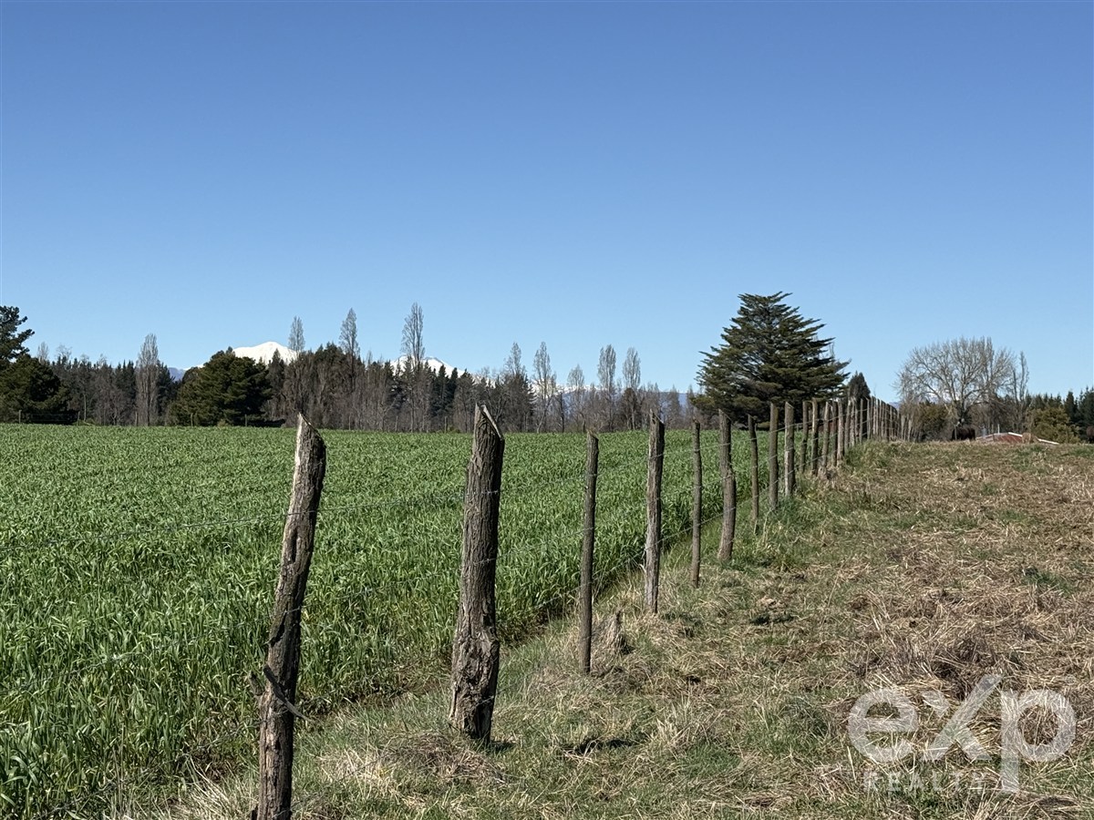 Agrícola en venta en Pinto