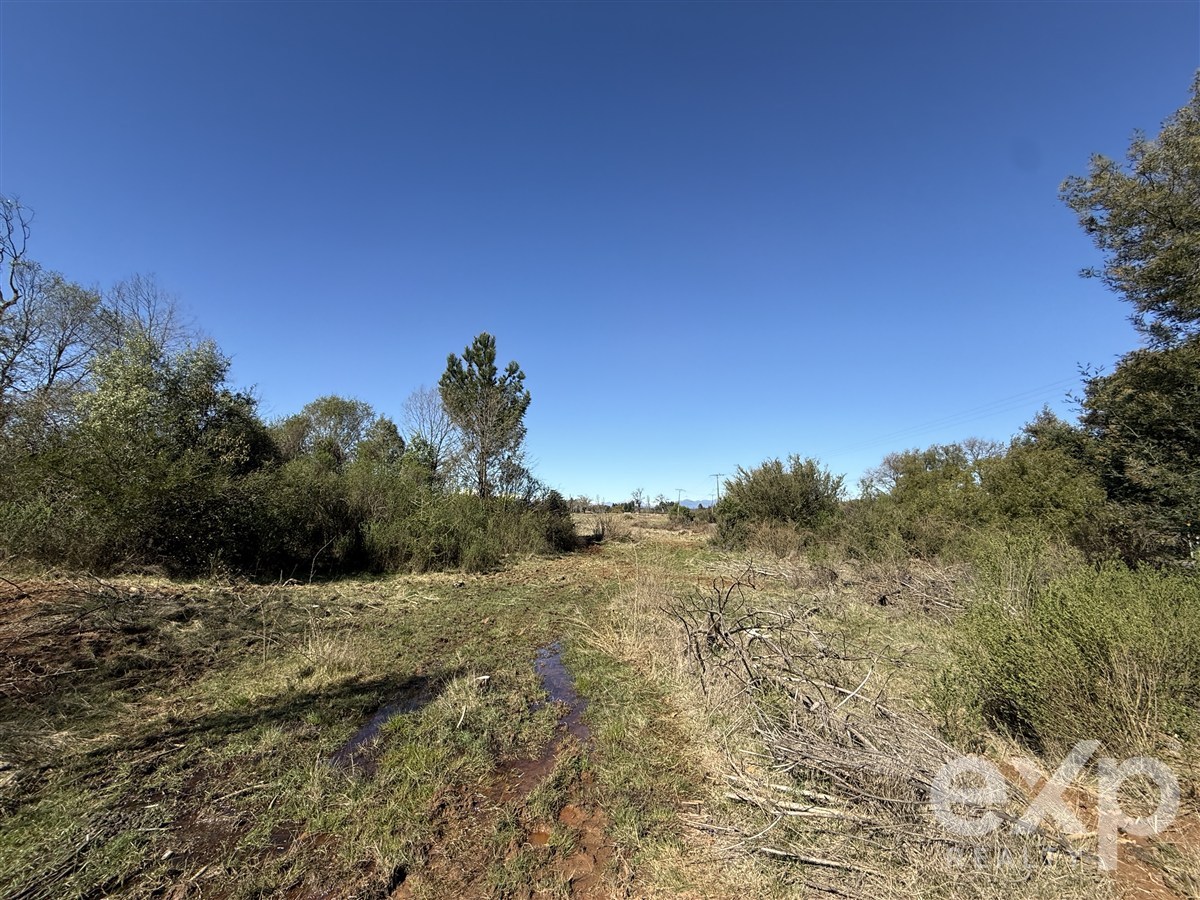 Agrícola en venta en Pinto