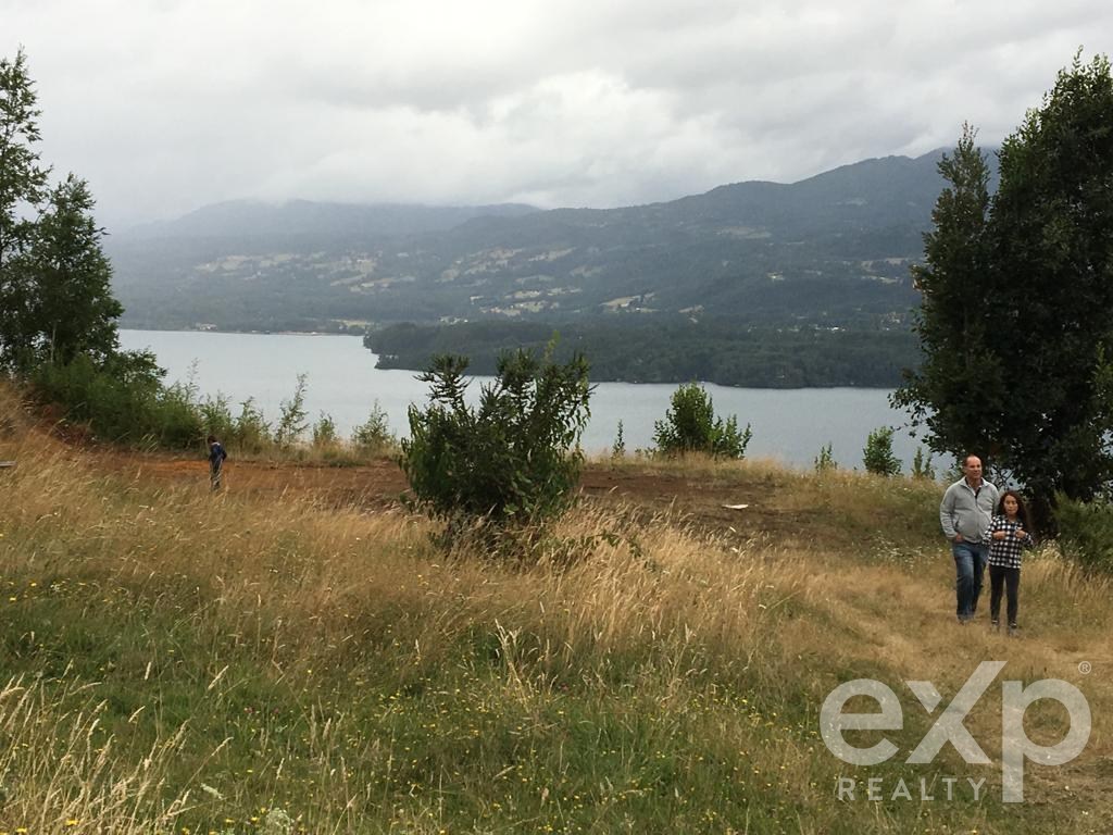 Site for sale in Panguipulli