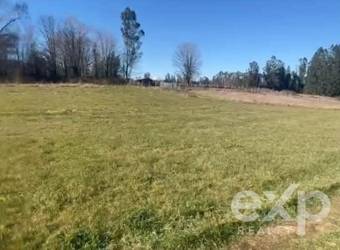 Site for sale in Pitrufquén