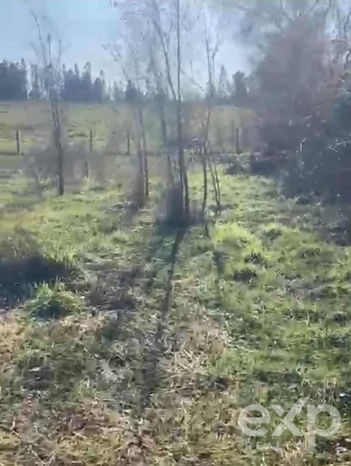 Site for sale in Pitrufquén