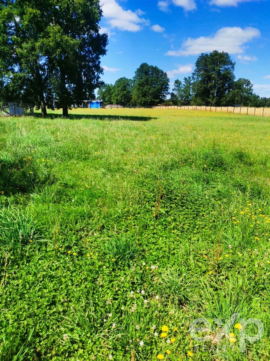 Parcela for sale in Frutillar