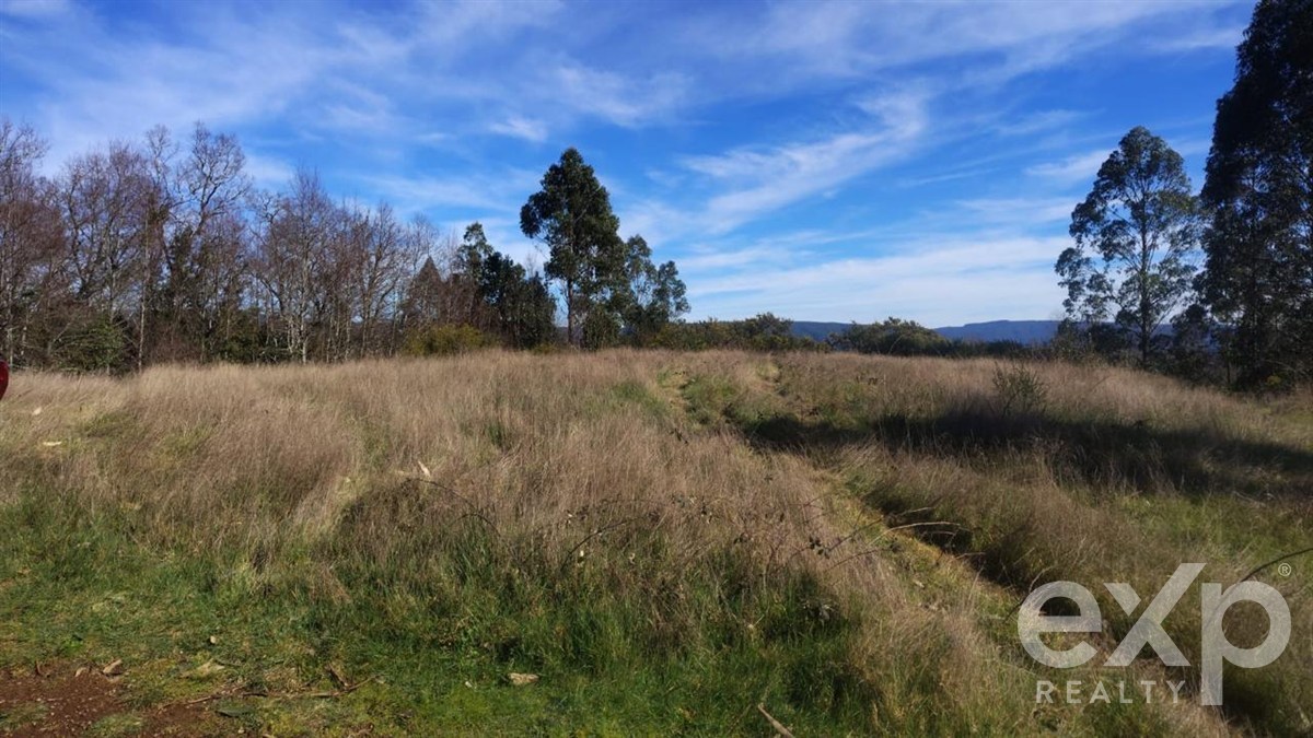 Agricultural for sale in Valdivia