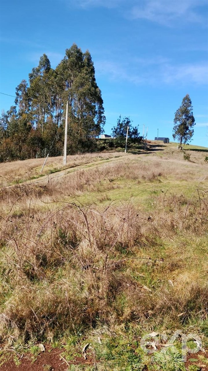 Agricultural for sale in Valdivia