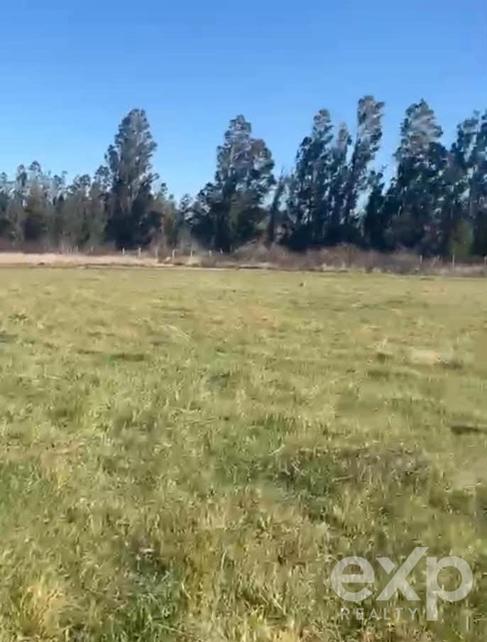 Site for sale in Pitrufquén