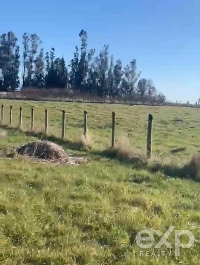 Site for sale in Pitrufquén