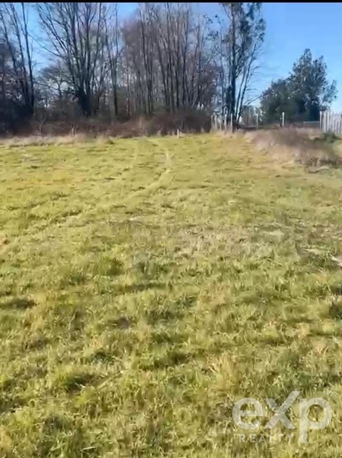 Site for sale in Pitrufquén