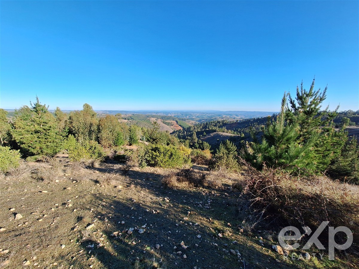 Site for sale in Pichilemu