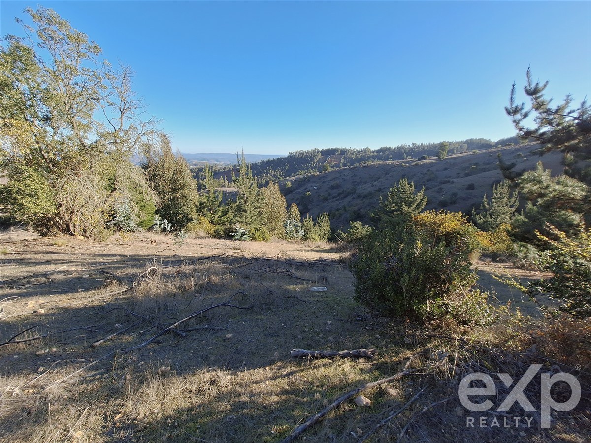 Site for sale in Pichilemu