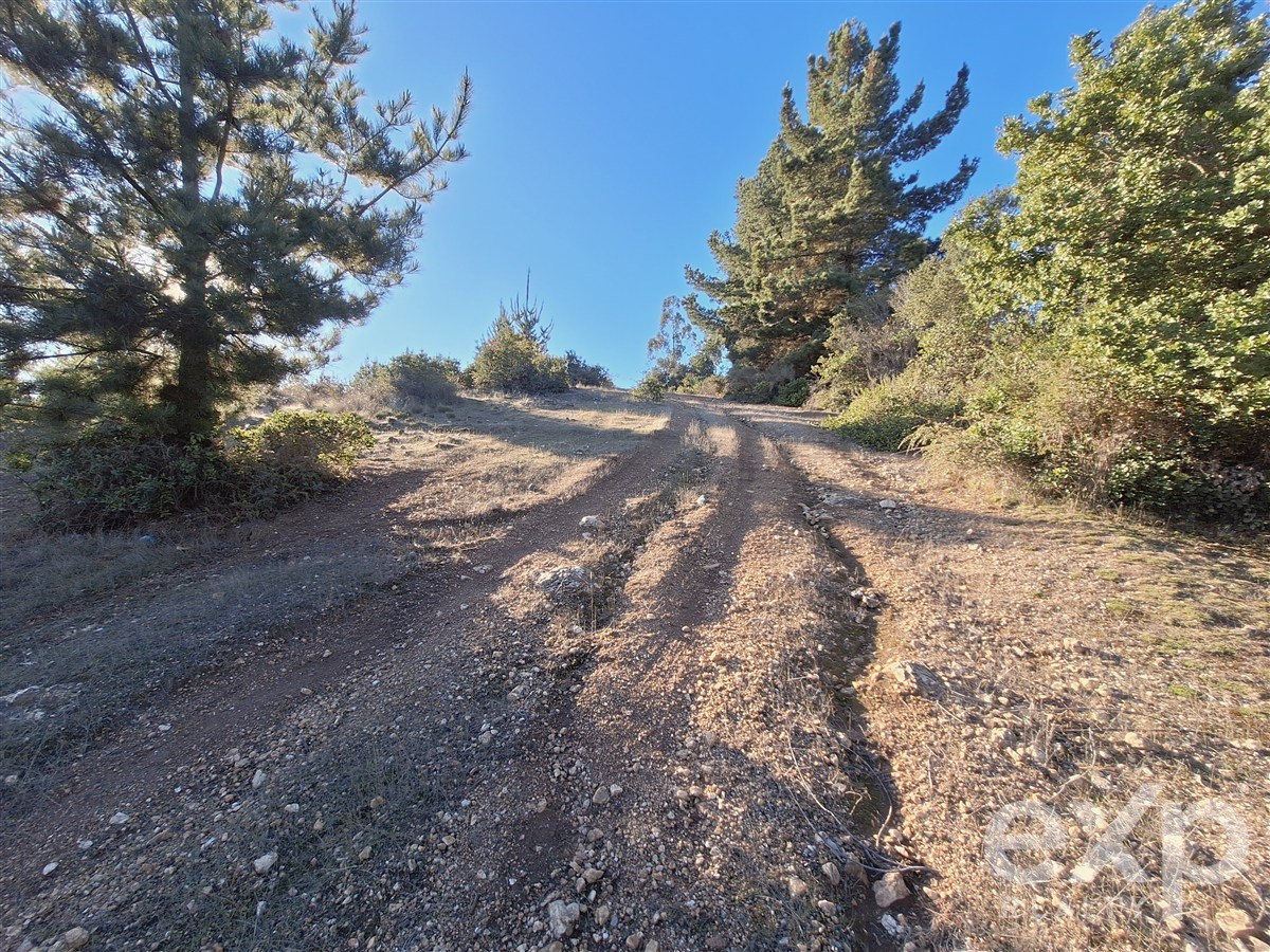 Site for sale in Pichilemu