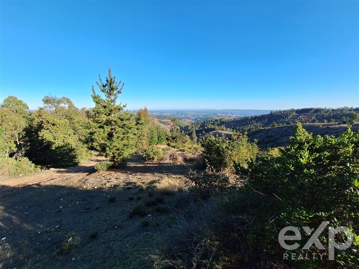 Site for sale in Pichilemu