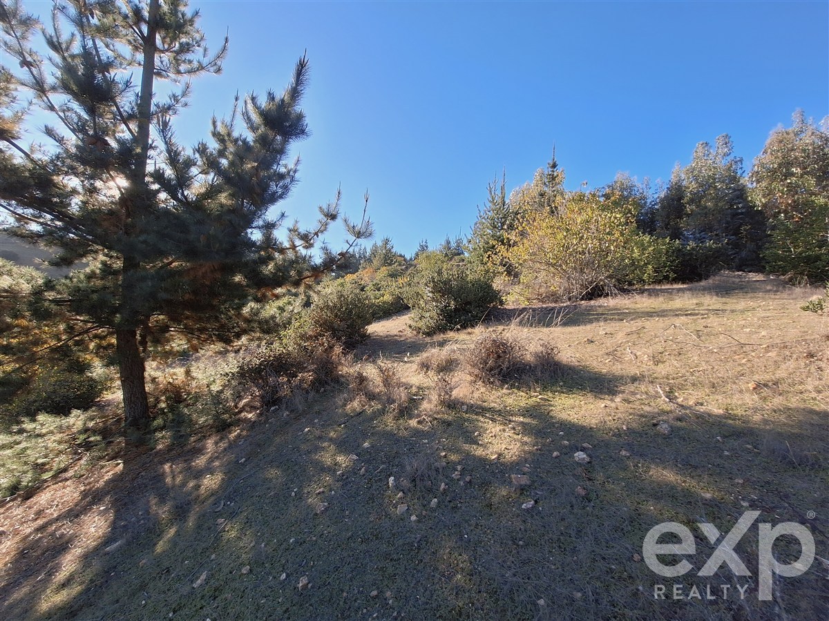 Site for sale in Pichilemu