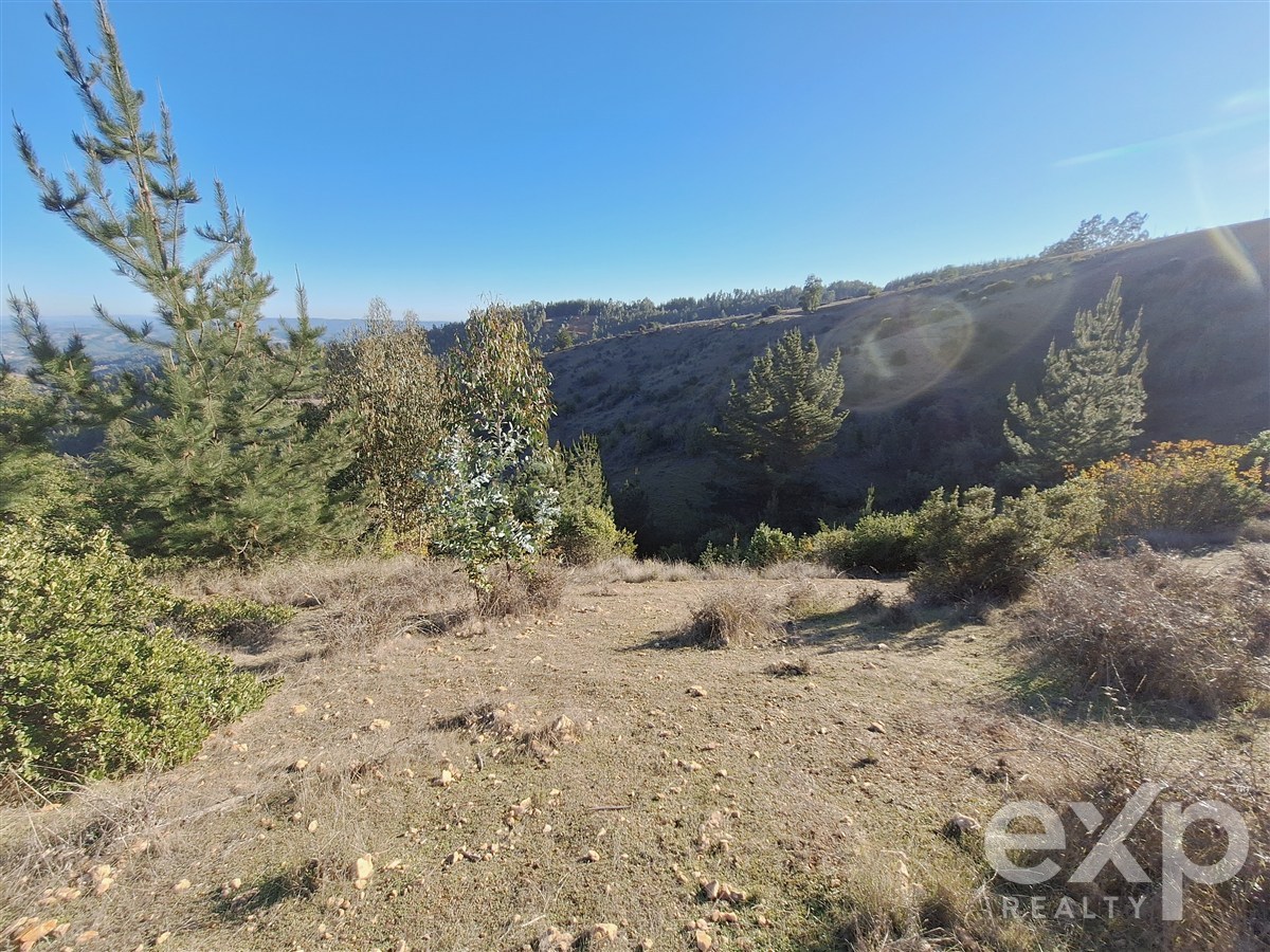 Site for sale in Pichilemu