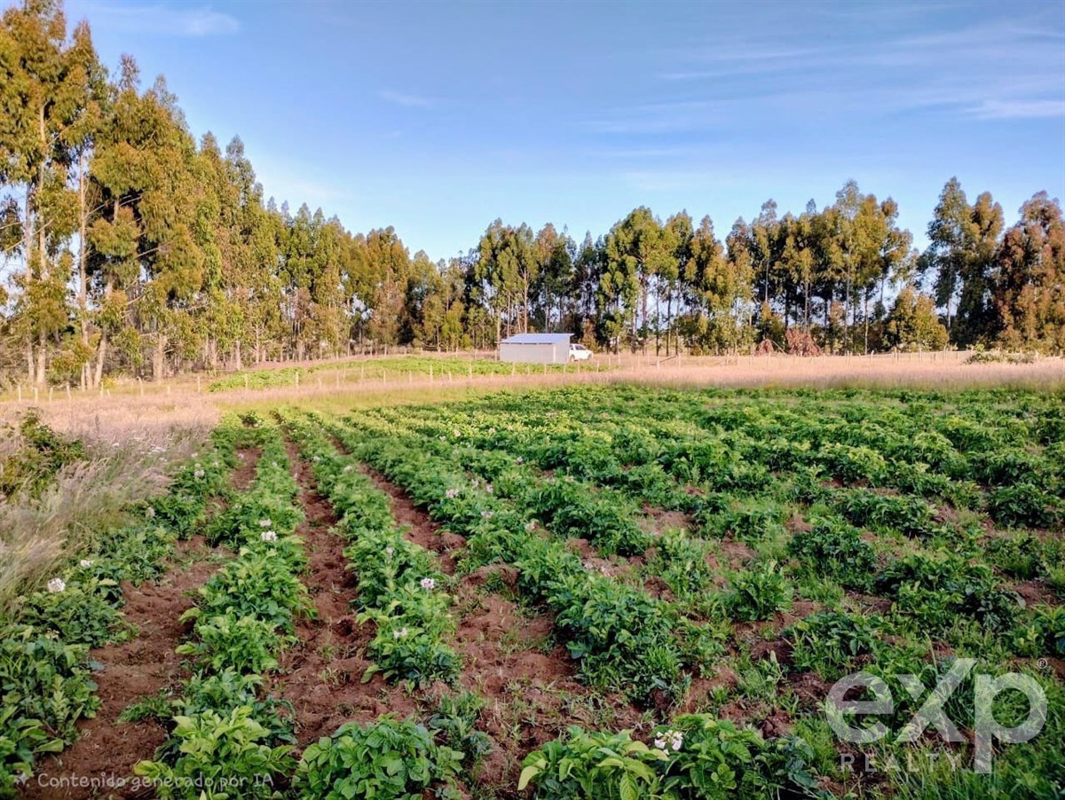 Agrícola en Maullín