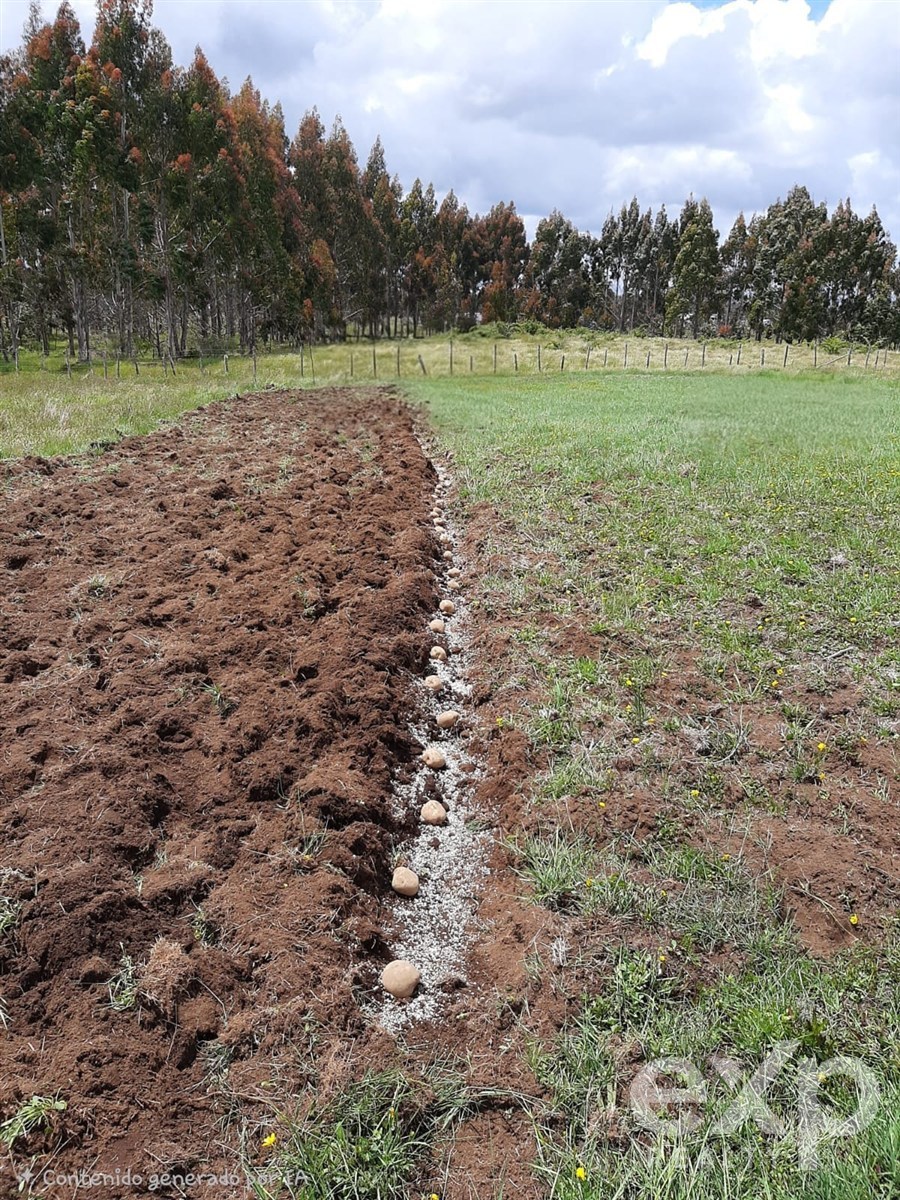 Agrícola en venta en Maullín, 45 m²