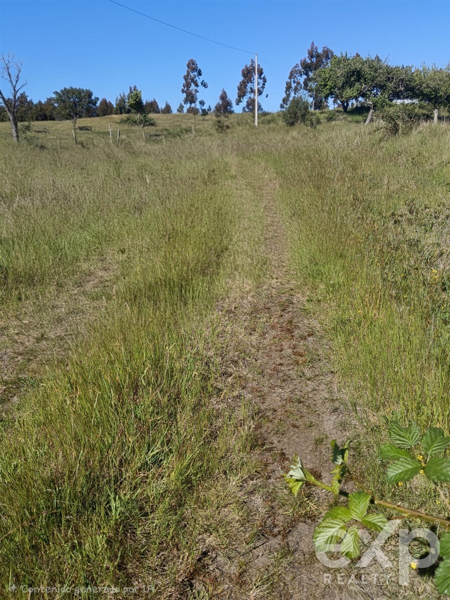 Agrícola en venta en Maullín, 45 m²