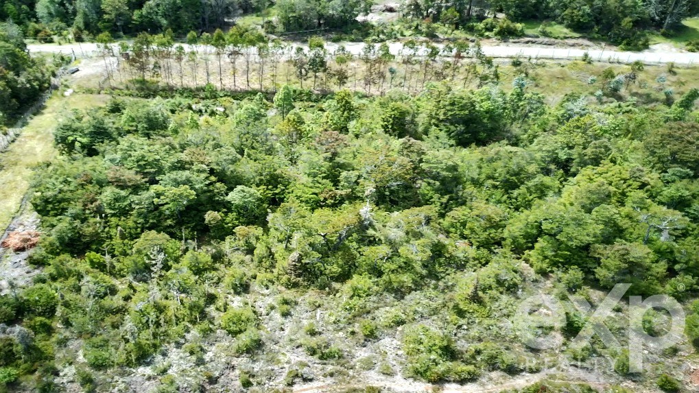 Agrícola en venta en Calbuco